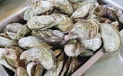 饭桌上故意张开腿让公H